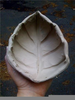 Organic Ceramic Artists Image