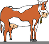 Cliparts Cows Image