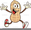 Free Peanut Allergy Clipart Image