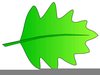 Leaf Clipart Free Image