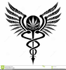 Caduceus Clipart Illustration Image