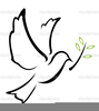 Clipart Dove Peace Image