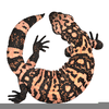 Gila Monster Clipart Image