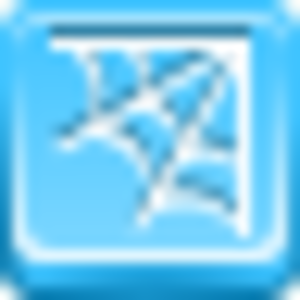 Spider Web Icon Image