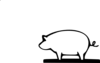 White Pig  Clip Art