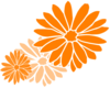 Dahlia Orange Three Clip Art
