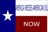 Texas Flag With Border Clip Art