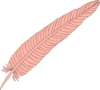 Feather Clip Art