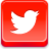 Twitter Bird Icon Image