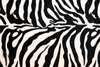 Zebra Image