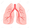 Smoking Lungs Clipart Image