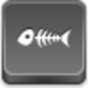 Fish Skeleton Icon Image