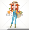 Basket Of Vegetables Clipart Image