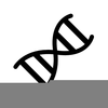 Dna Black And White Clipart Image