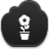 Pot Flower Icon Image