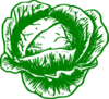 Cabbage Mon Petit Clip Art