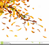 Free Fall Foliage Clipart Image