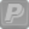 Paypal Icon Image