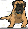 Bull Mastiff Clipart Image