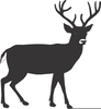 Buck Images Clipart Image