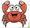 Hermit Crab Images Clipart Image