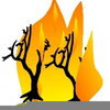 Log Fire Clipart Image