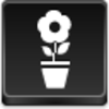 Pot Flower Icon Image