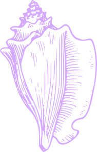 Shell  Clip Art