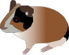 Hamster Clip Art