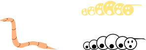Worm Leading Eyes Clip Art