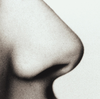 A Nose Image