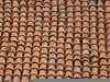 Red Shingles Image