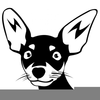 Chihuahua Clipart Black White Image