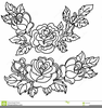 Bed Of Roses Clipart Image