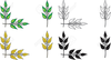 Laurel Tree Clipart Image