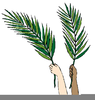 Leaf Graphics Clipart Image