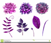 Free Clipart Violet Flowers Image
