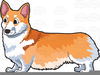 Corgi Clipart Image