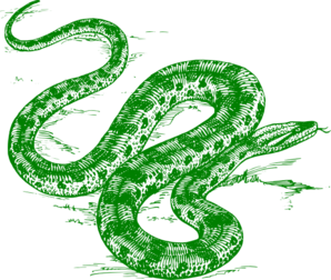 Green Anaconda Clip Art