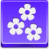 Flowers Icon Image