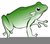 Bullfrog Clipart Hat Image