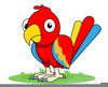 Parrot Clipart Images Image