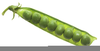 Free Two Peas In A Pod Clipart Image
