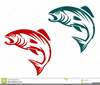 Clipart Salmon Fish Image