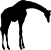 Child Clipart Silhouette Image