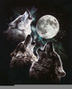 Wolfblood Wolf Howling Image