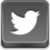 Twitter Bird Icon Image