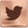 Twitter Bird Icon Image