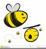 Bumble Bees Clipart Image