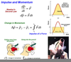 Angular Momentum Equation Image